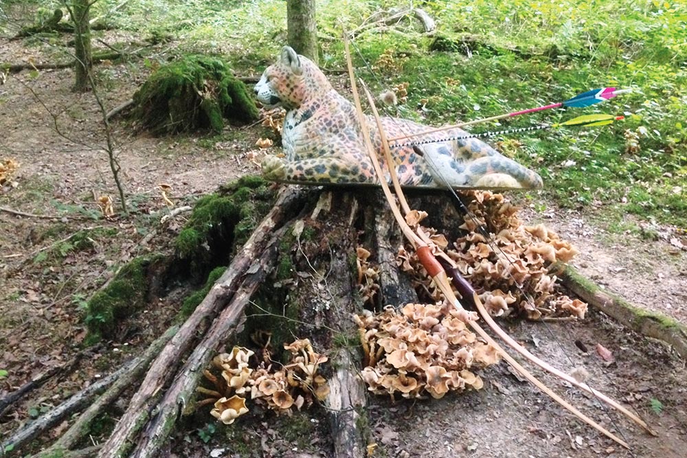 Tir à l'arc à Roche-sur-Linotte - Cible panthère